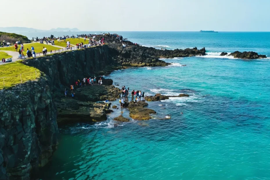 featured_1771353233644_6b194360